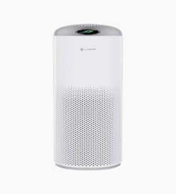 Lumias Bulma Compact